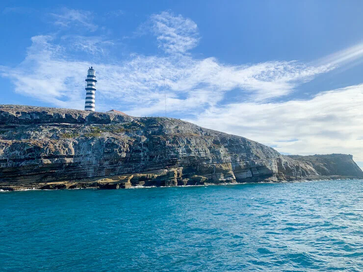 abrolhos8